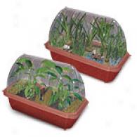 Dunecraft Tropial Palm & Banana Farm Greenhouses